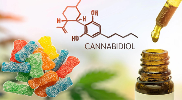 cbd gummies vs CBD oil