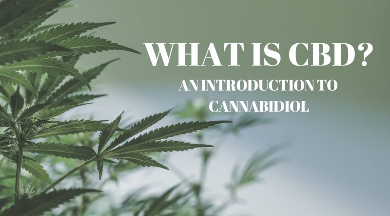 WHAT-IS-CBD