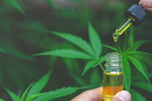 buy cbd oil south africa