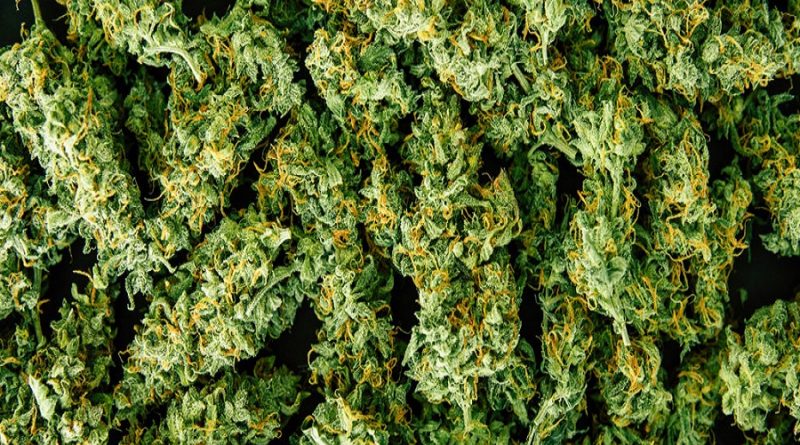 Pineapple Express CBD