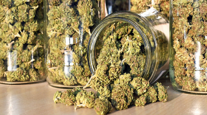 cbd product bundles for sale