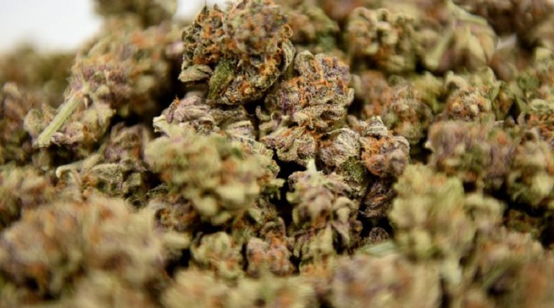 Los Angeles weed delivery