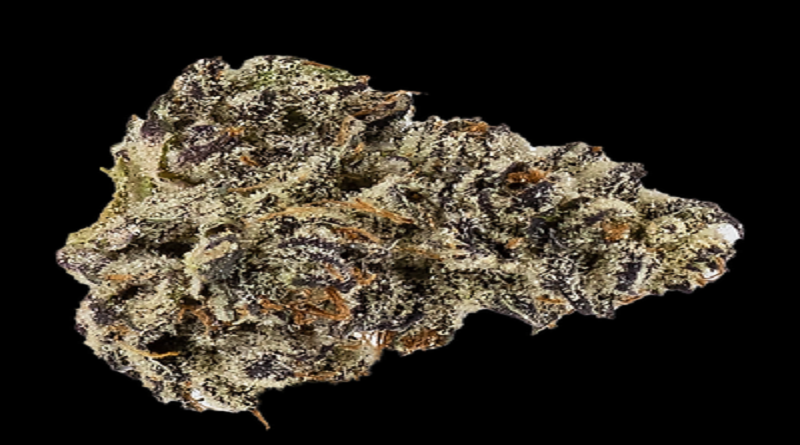 white truffle strain