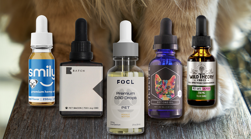 CBD Oil For Cats