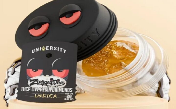 cannabis concentrates