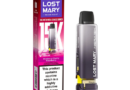 Lost Mary