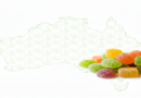 Shop THC Gummies Australia